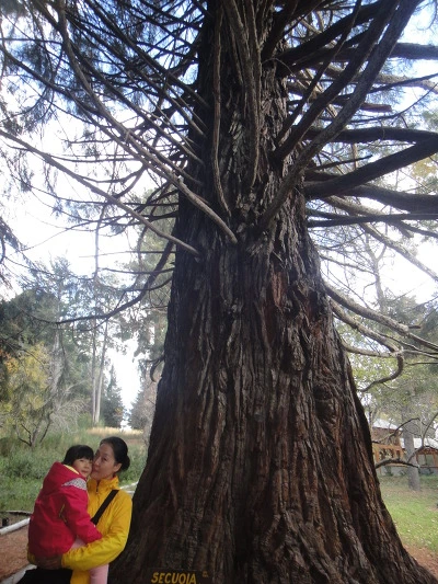 9924C03359F650BB17E7A0