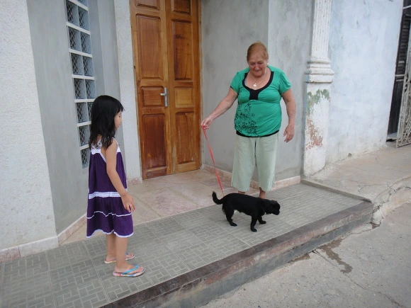 9949513359F73D780988D7