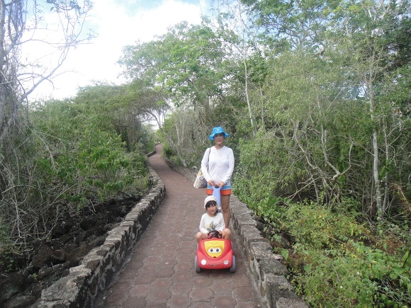 99E9B43359FB8F273A34F8