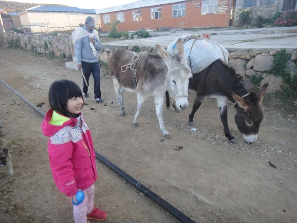 996EB83359FACAB22F4C3B