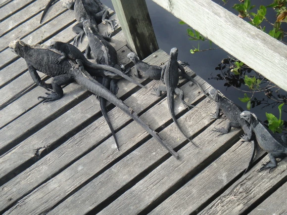 995E093359FB702F1E2D6C