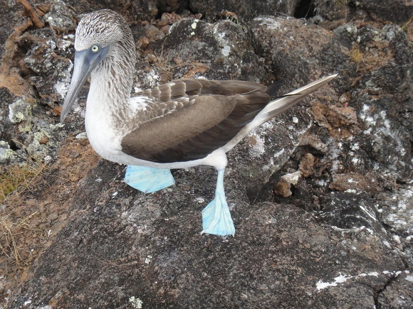 99BE14335A0595B8099413