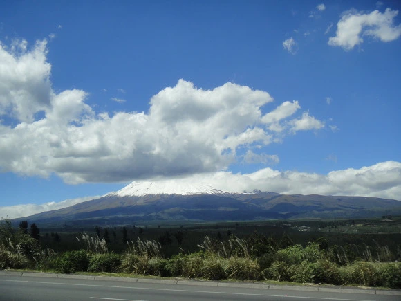 9965BD3359FFCF5812D860