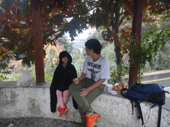 9944363359F2A47E06B274