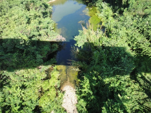 99F1B93359F71E151A109D