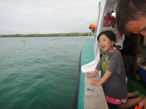 99873B3359FB739C23C3F0