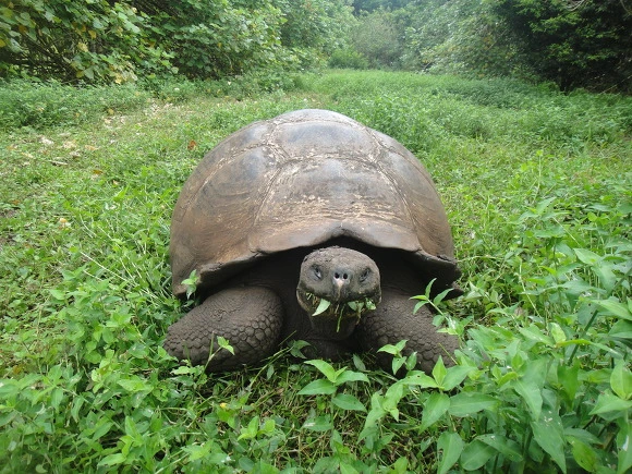 990FD53359FB5E680B818B