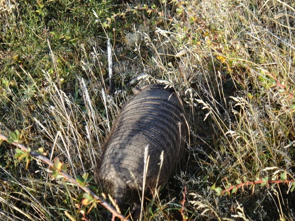 99C0863359F677E102875E