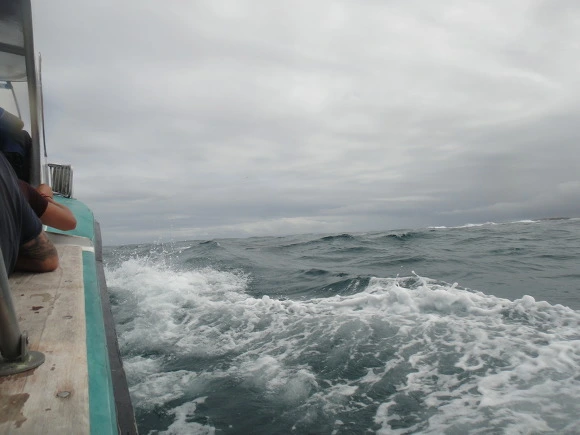 99786C3359FB781C212BBA