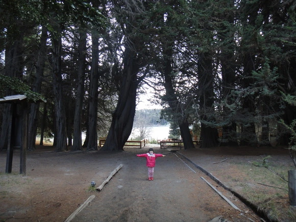 99A4963359F64EF20B9C8D