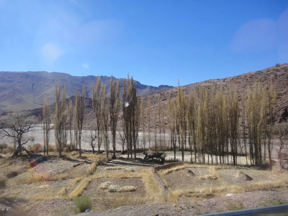 99E5343359F9B5B13333E4