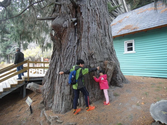 99F6DA3359F64EEA167D84