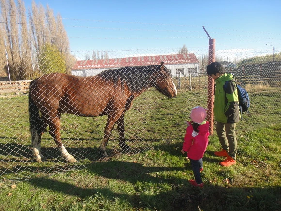 99271C3359F5FE9B269CDD