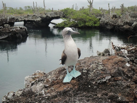 996FF8335A06D45617B79C