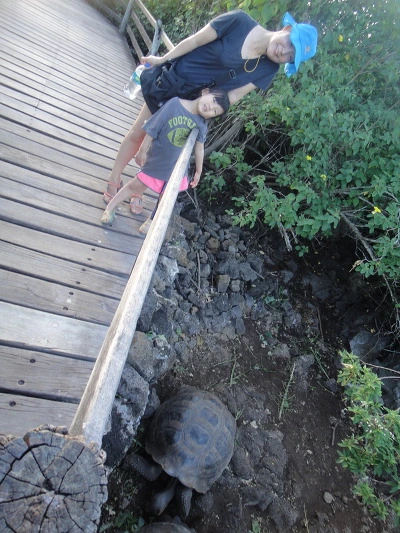 993B383359FB567002DEC0