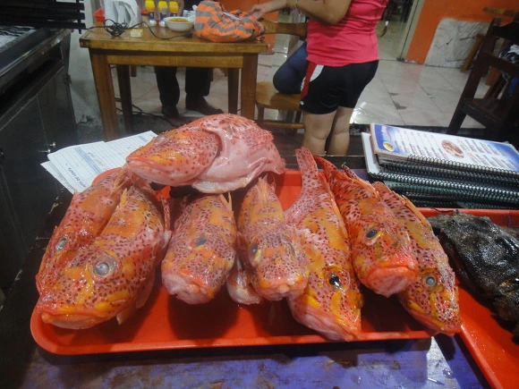 993DEA3359FB856C30C956