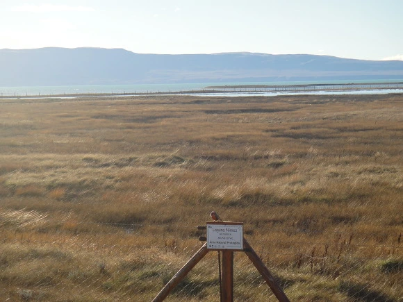 990B063359F5FE9E38EB78