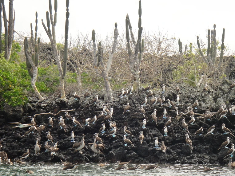 998E7D3359FB7391228707