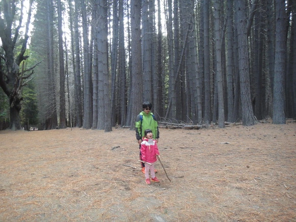 998BC13359F650BD14374E