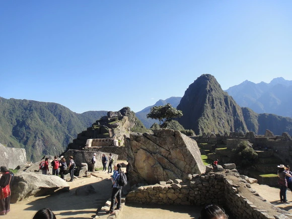 992A333359FB1DE21FEB9E