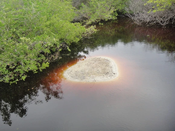 995F123359FB70351EA304