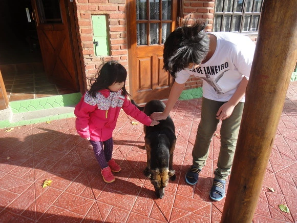 9941D53359F5F0882577AF