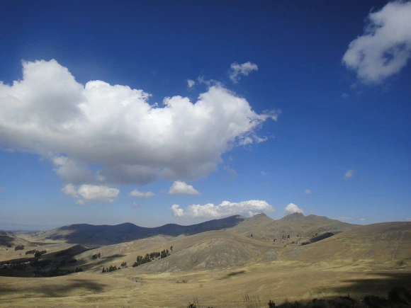 99F19D3359FAAFA50D1302