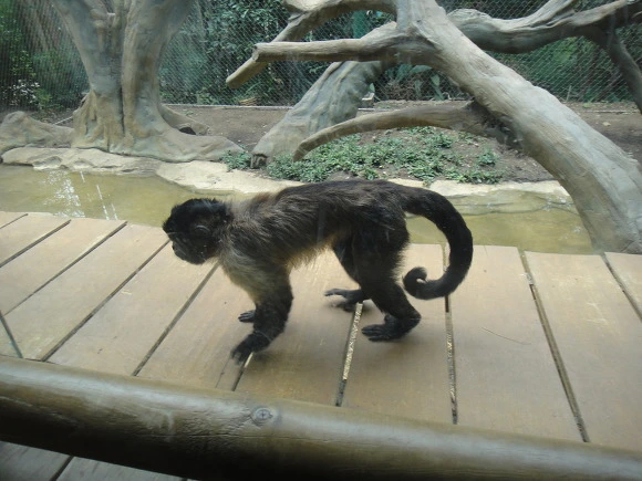 9991AE335A0062DA062E1D