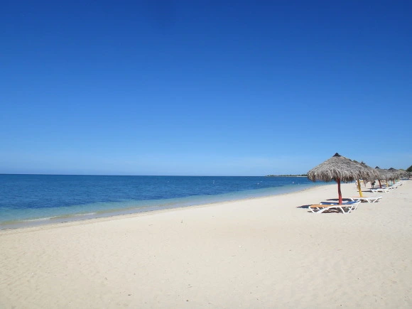 99D5D53359F6DD56105D80