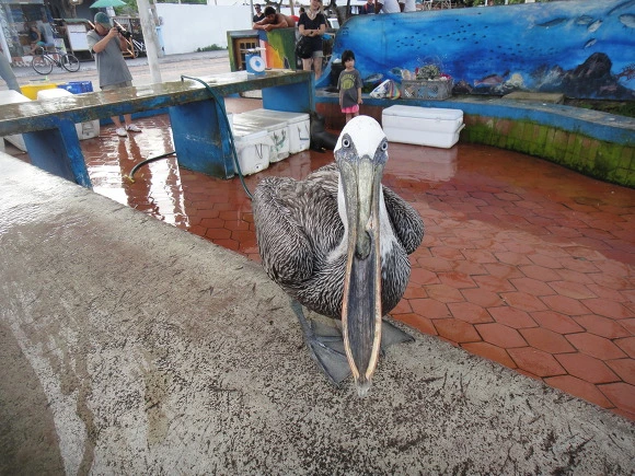 9991A93359FB6B8A1A40DD