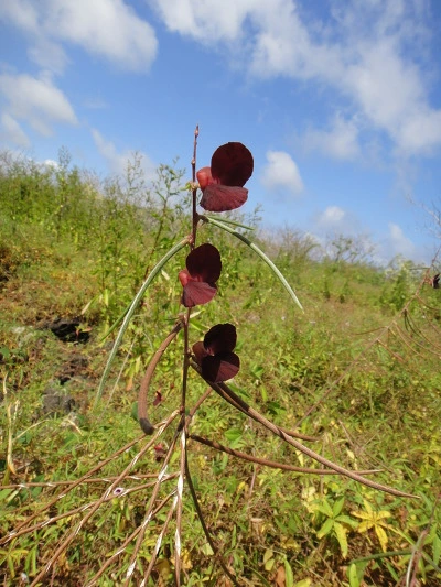 99206C3359FBC5110A8D7A