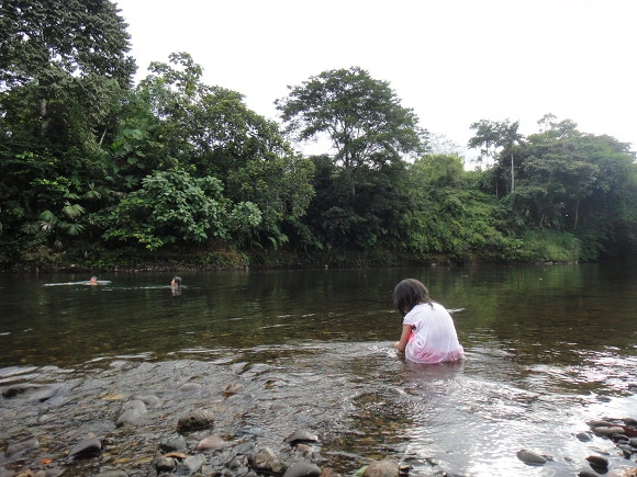 99DC633359FC70FB0BEDEC