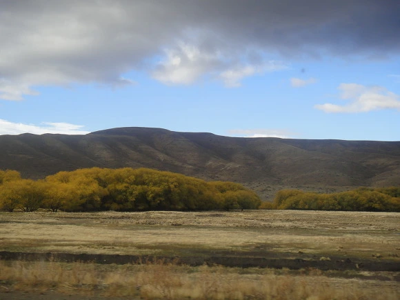 99AA263359F63D842FCA58