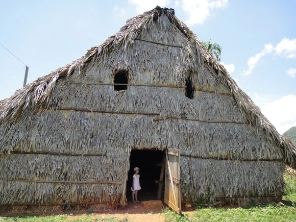 99CA2D3359F7CC870EF6E3