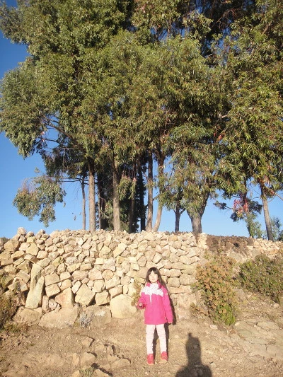 99A7F83359FACABF2A84D7