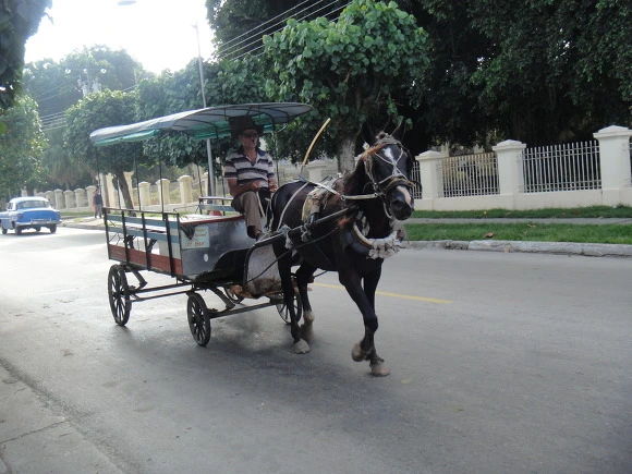 9919933359F6D89226223A