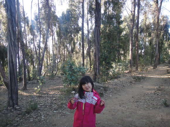 99978F3359FACAC80F783B