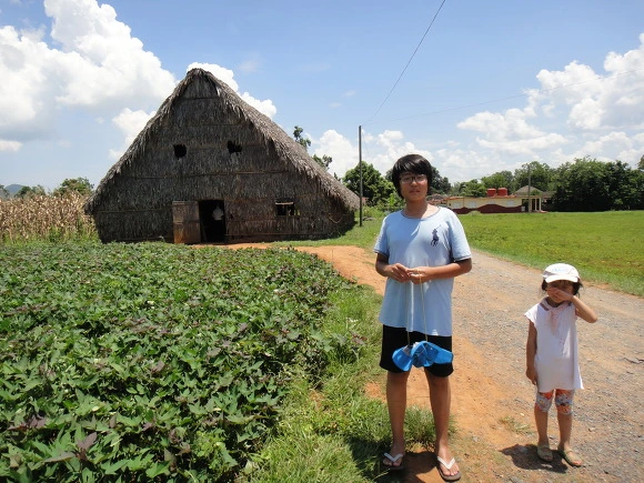 998D183359F7CC830574E4