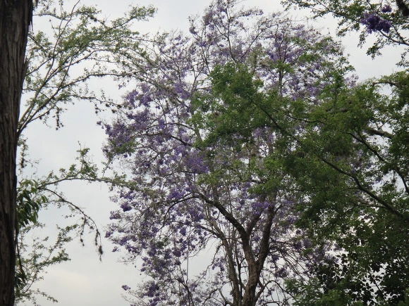 999ECA335A0062E11F9341