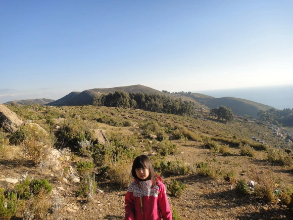 991F7D3359FACAC52DBACA