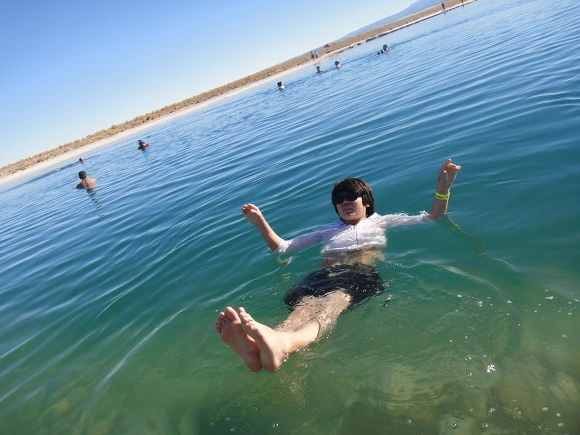 99E29F3359F9365120E4F1