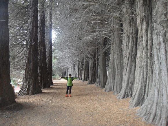 994A073359F64EF014A984