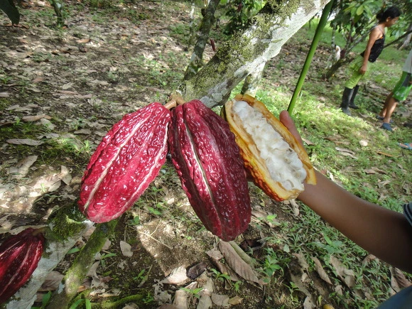 99CFB93359FBFEB408F0DE