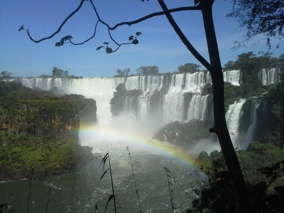 99D7333359EEACC209A8E9