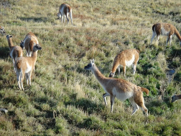 9963E53359F677E40AD20F