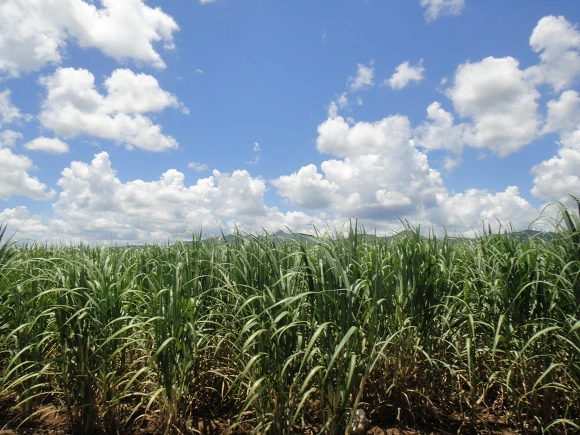 996CA83359F739DB087499