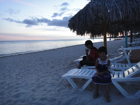 99B2733359F717541F8377