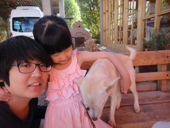 995AA33359F931AC1867D1