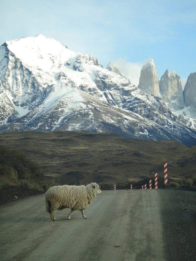 99BFDE3359F6754634BF52