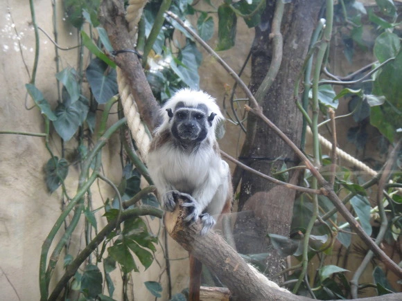 994959335A0062EE292142